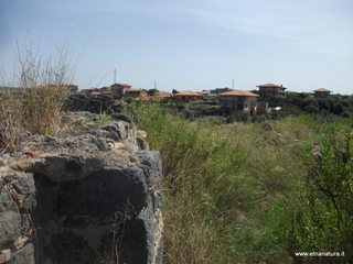ammena-16-09-2015 11-43-42